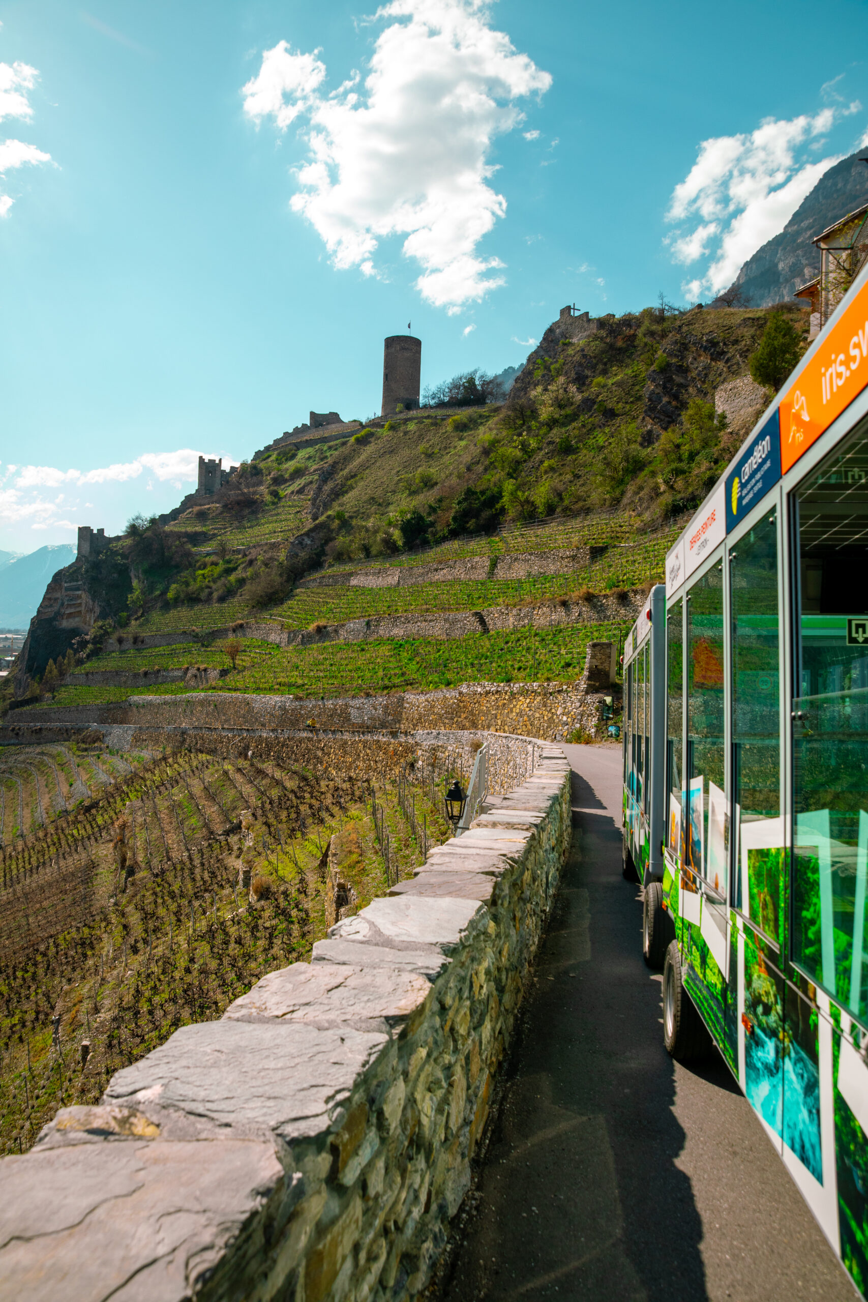 Farinetpetit_train_Arcanel_1