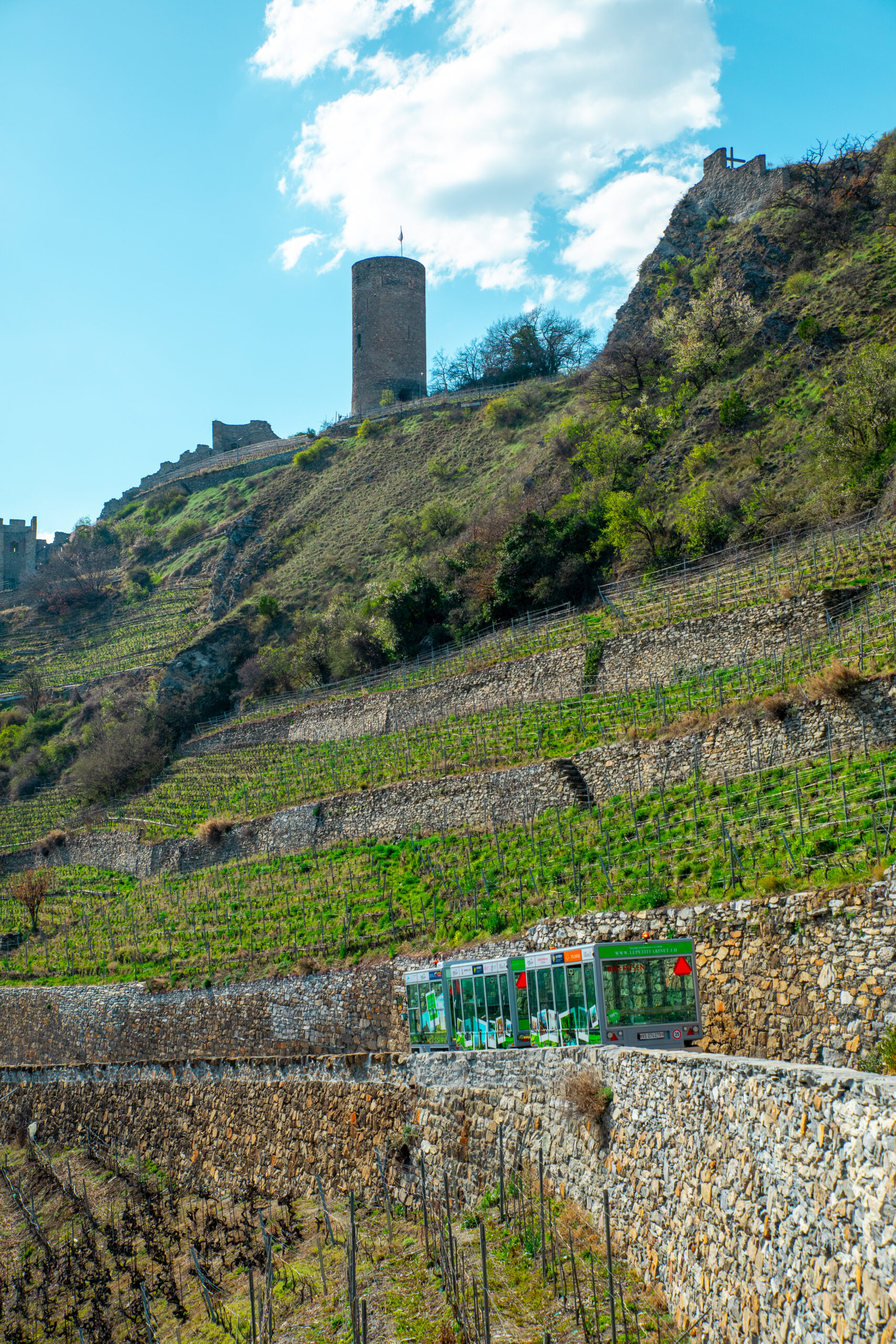 Farinetpetit_train_Arcanel_2