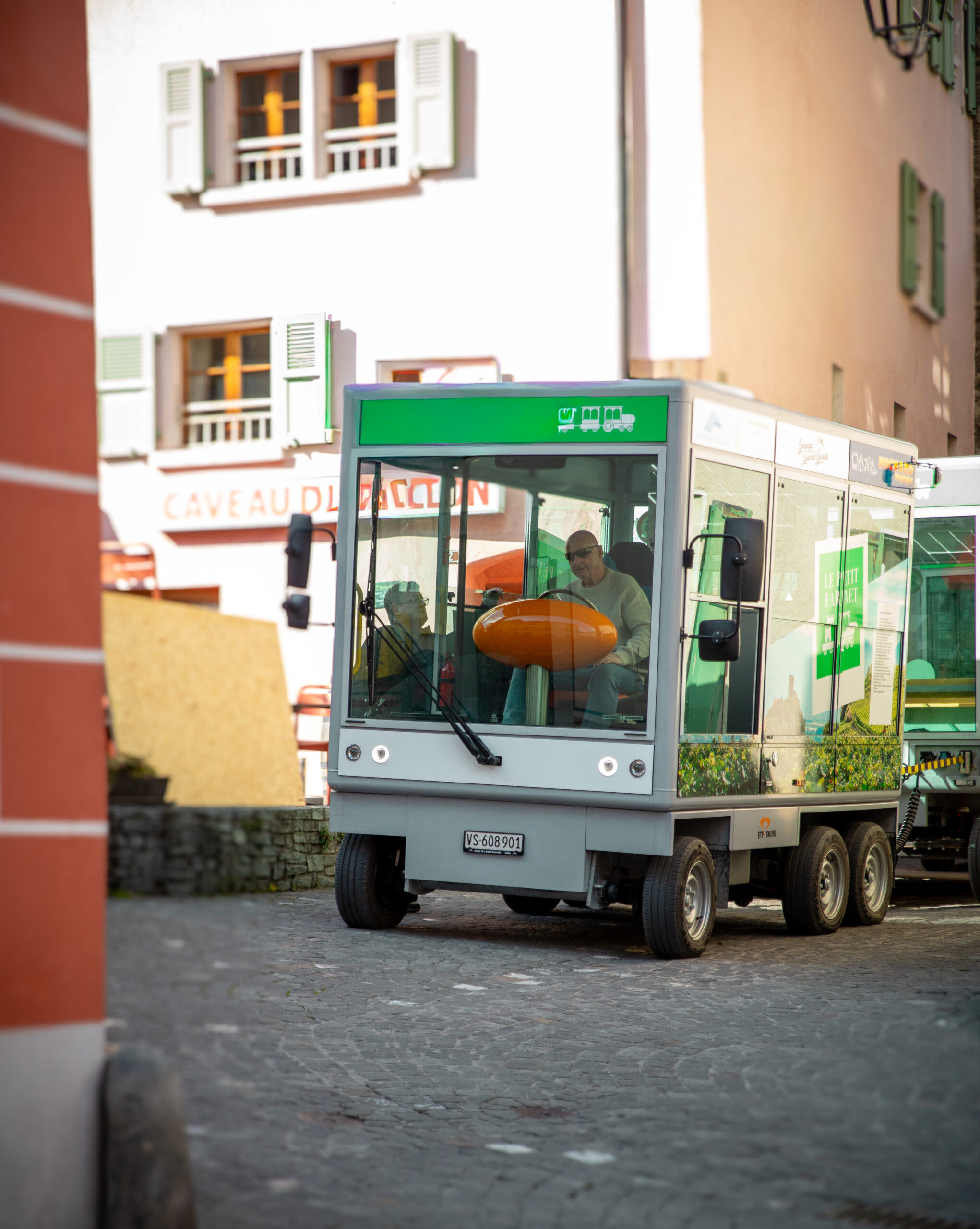 Farinetpetit_train_Arcanel_24